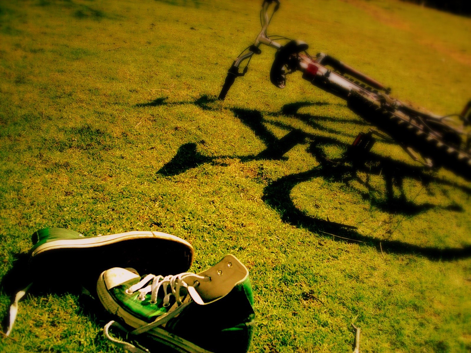 bike shoes grass day laces summer