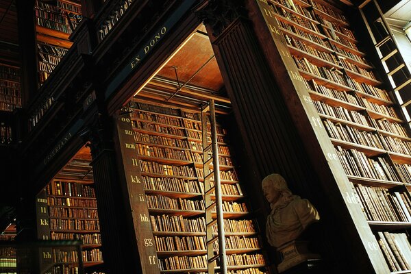 Hermosos libros en una biblioteca grande y espaciosa