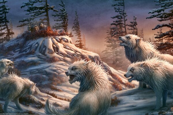 A pack of white wolves in the forest