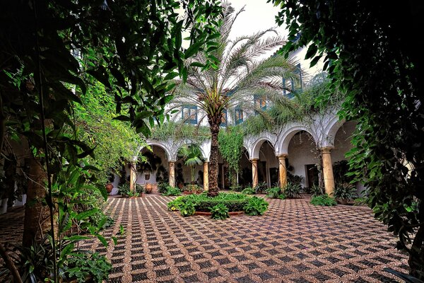 Patio al aire libre con árboles