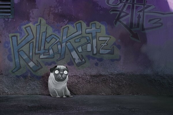 Graffiti on the wall- pug