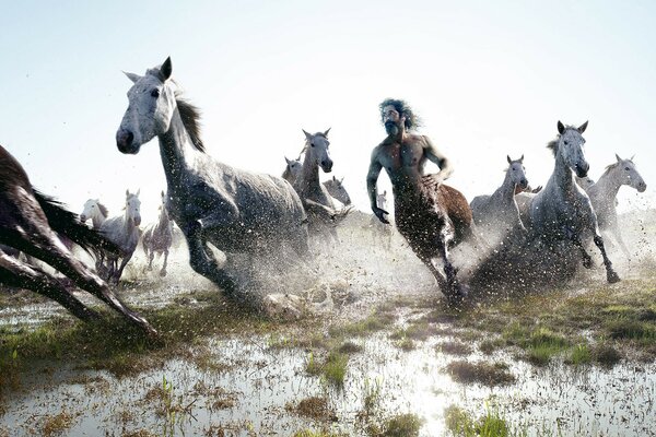 La desesperada carrera del Centauro y los caballos