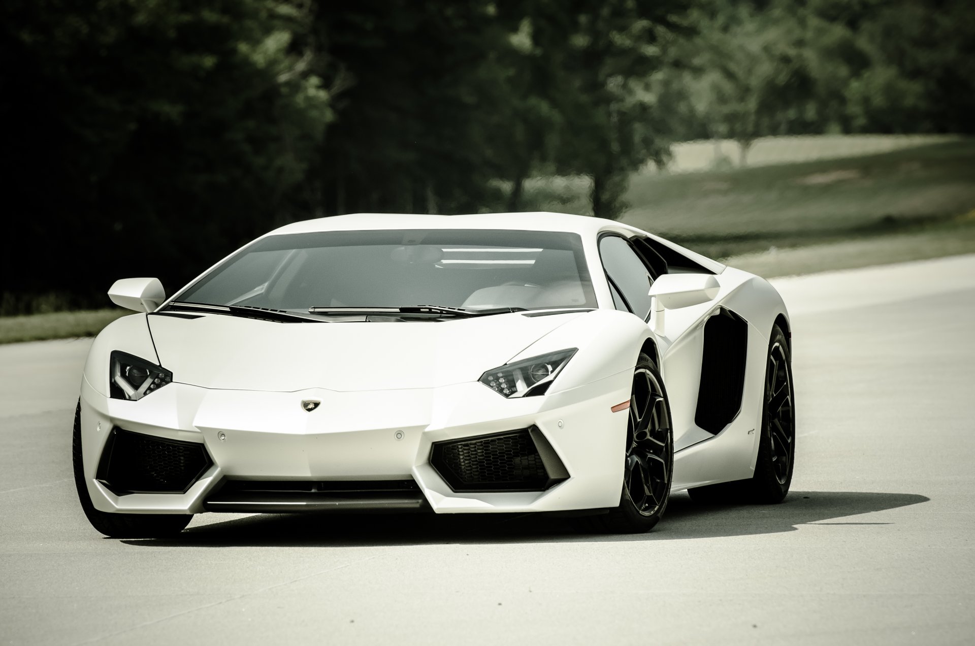 lamborghini aventador lp700-4 white lamborghini aventador front view shade road tree