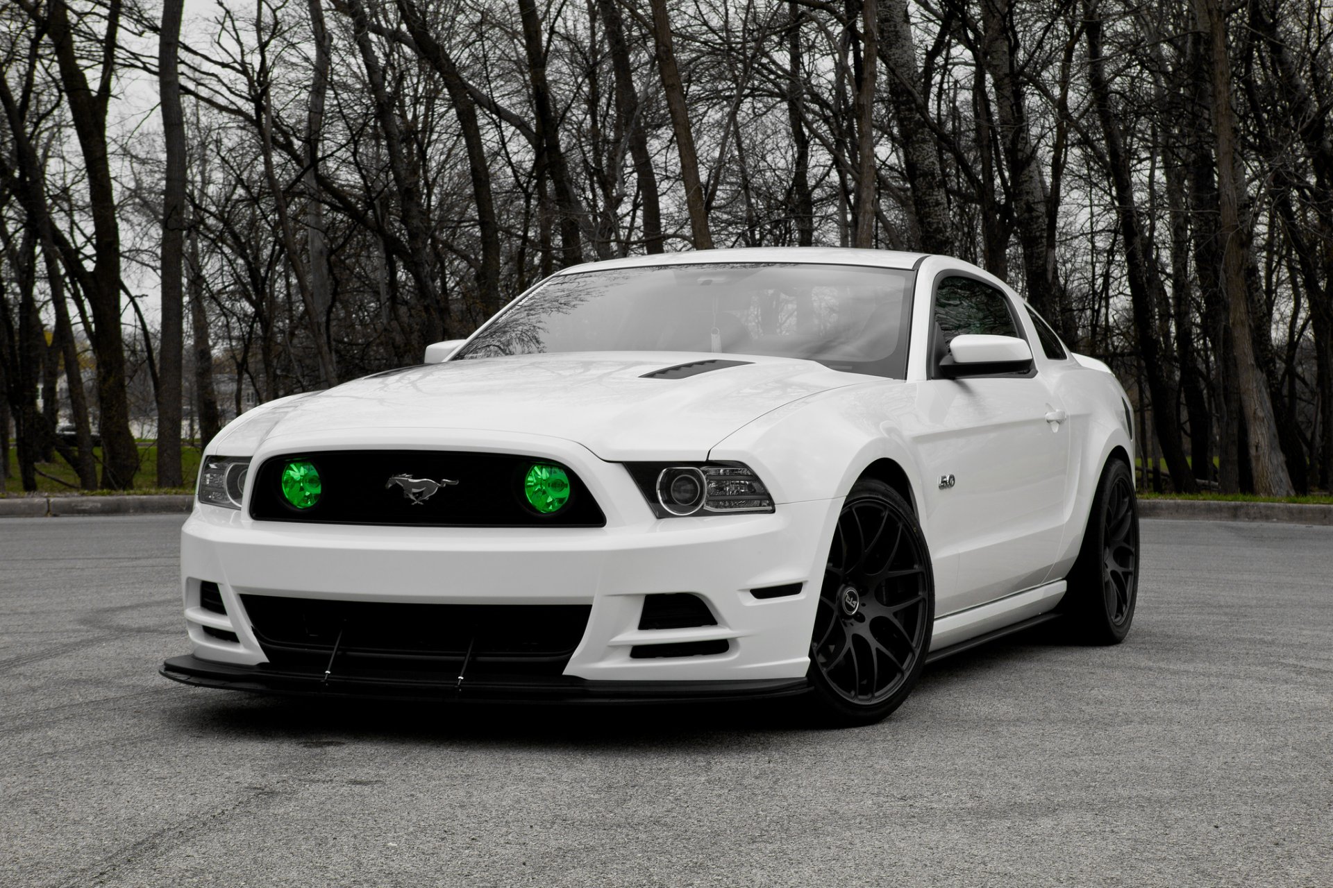 ford mustang gt500 5.0 blanc