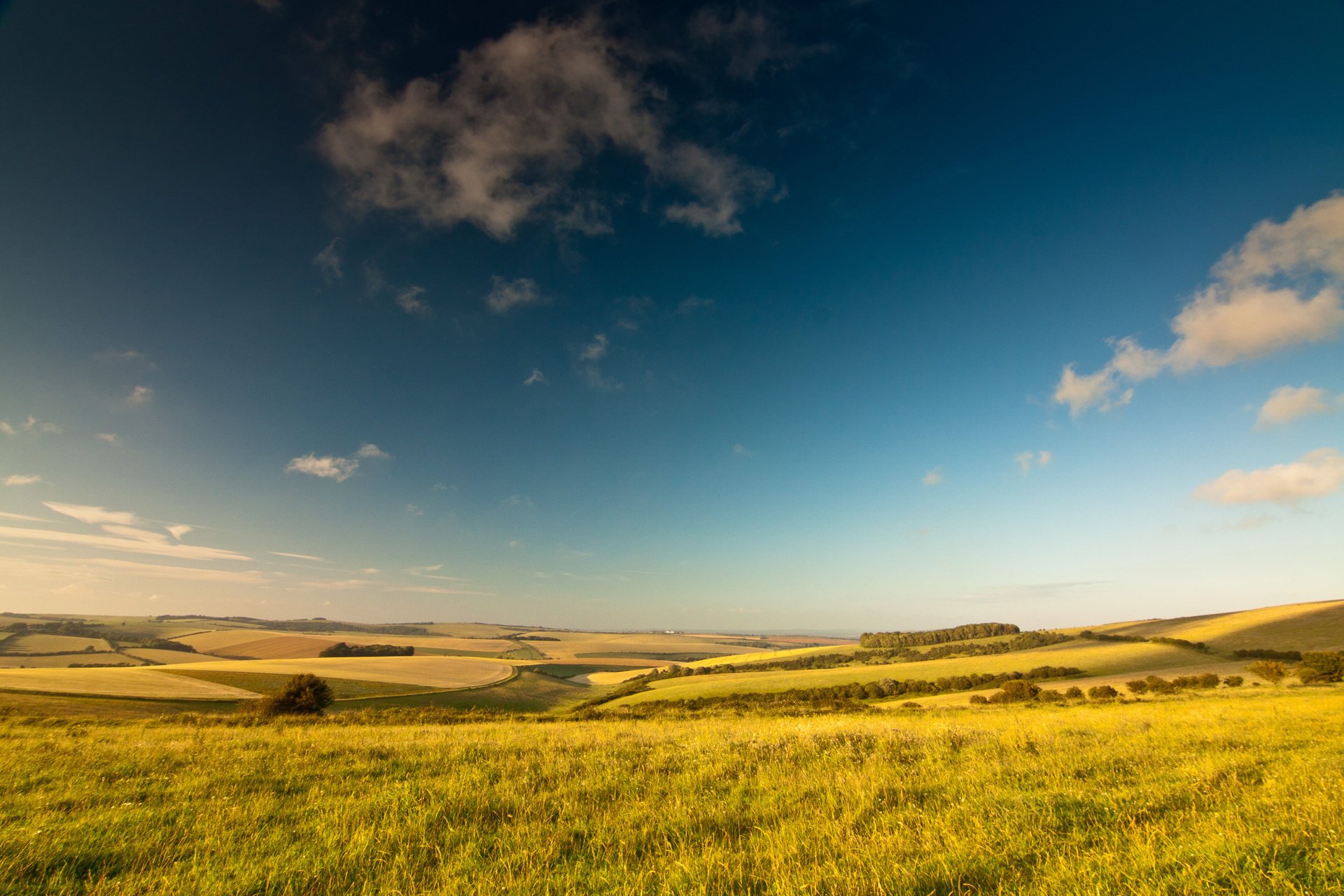 sommer feld himmel wolken bäume