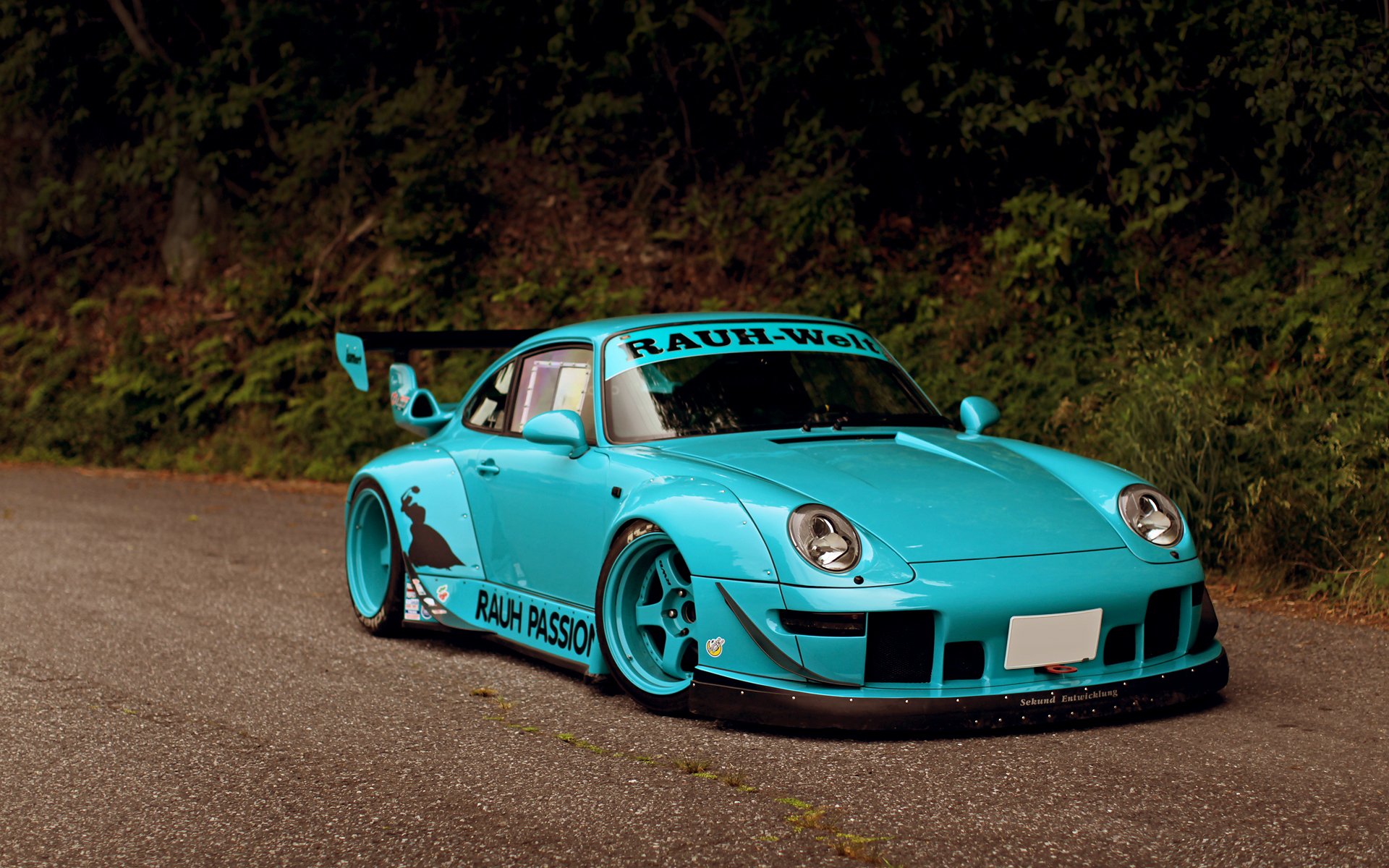 911 carrera auto rauch tuning porsche