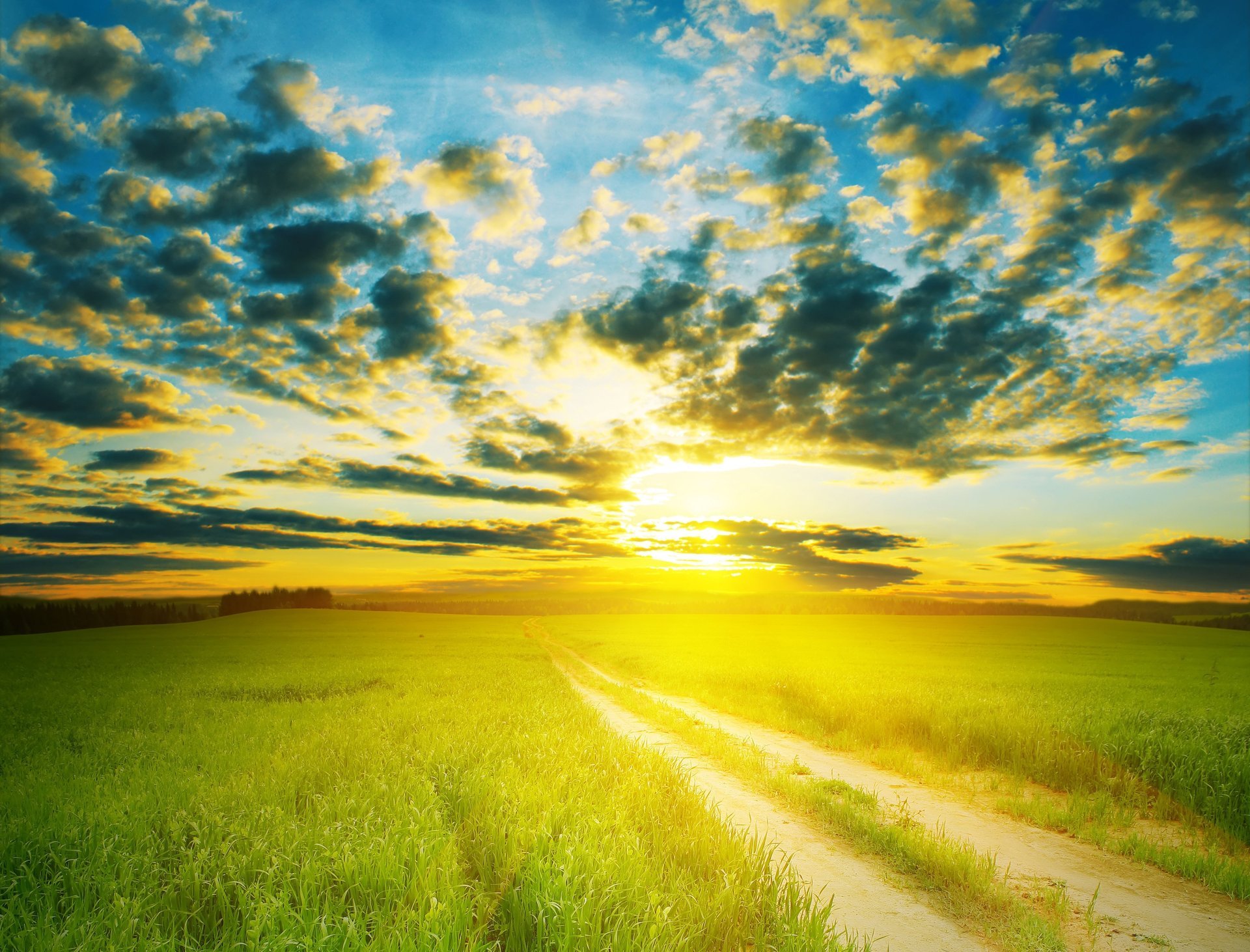 nature été champ route ciel nuages soleil lumière