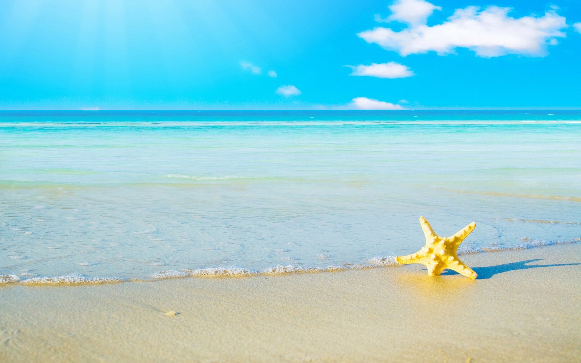 mare spiaggia orizzonte sabbia stella marina cielo