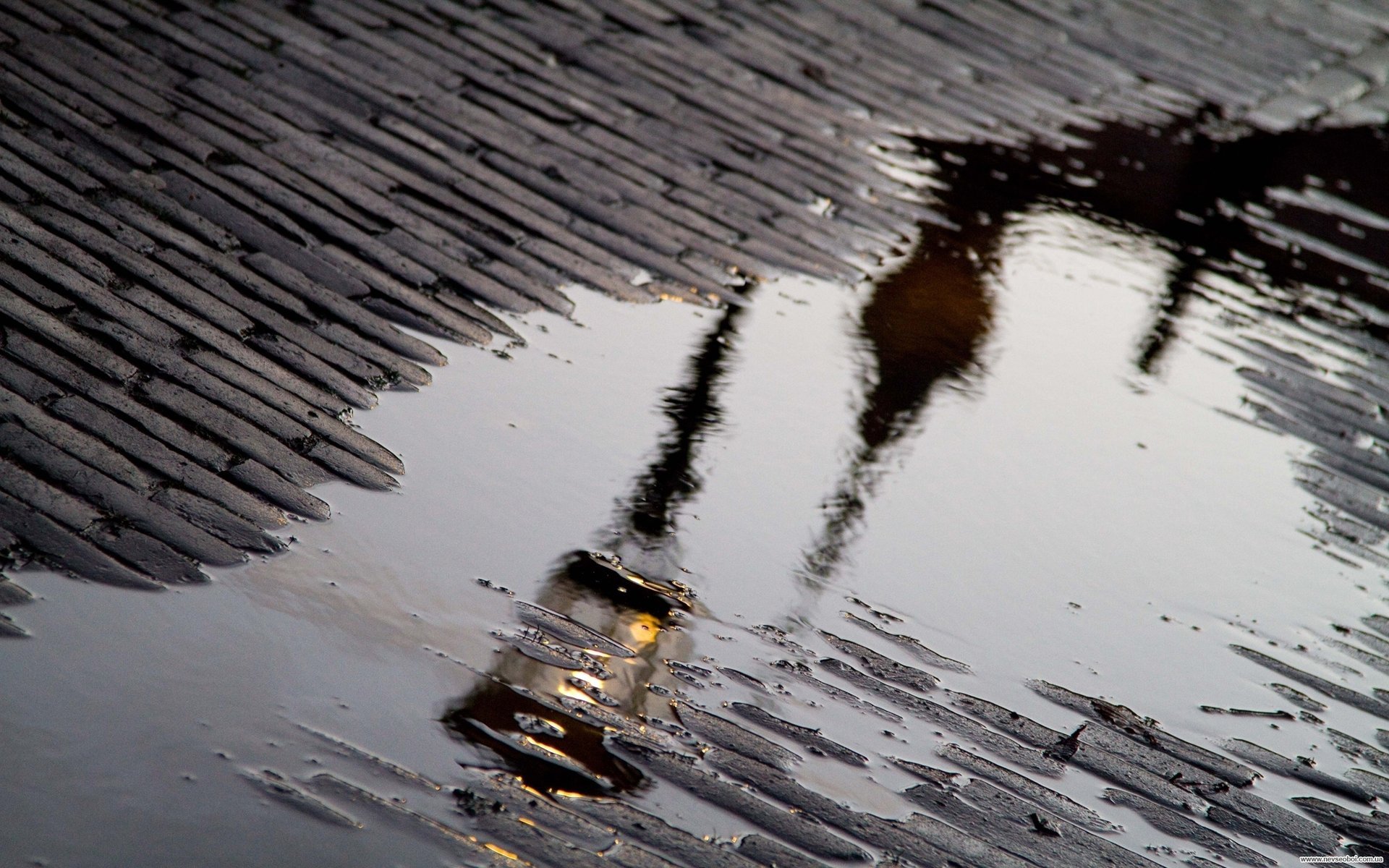 bridge lantern reflection puddle rain