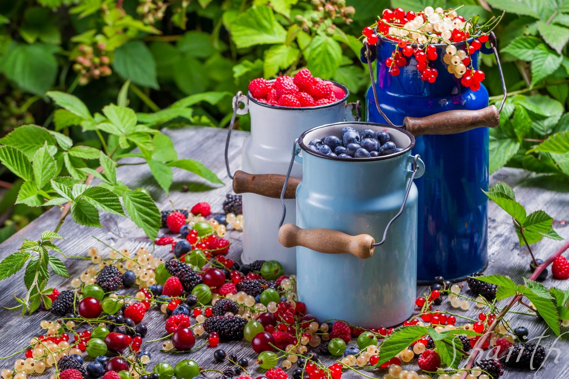 brombeeren himbeeren johannisbeeren beeren gläser vitamine blaubeeren stachelbeeren