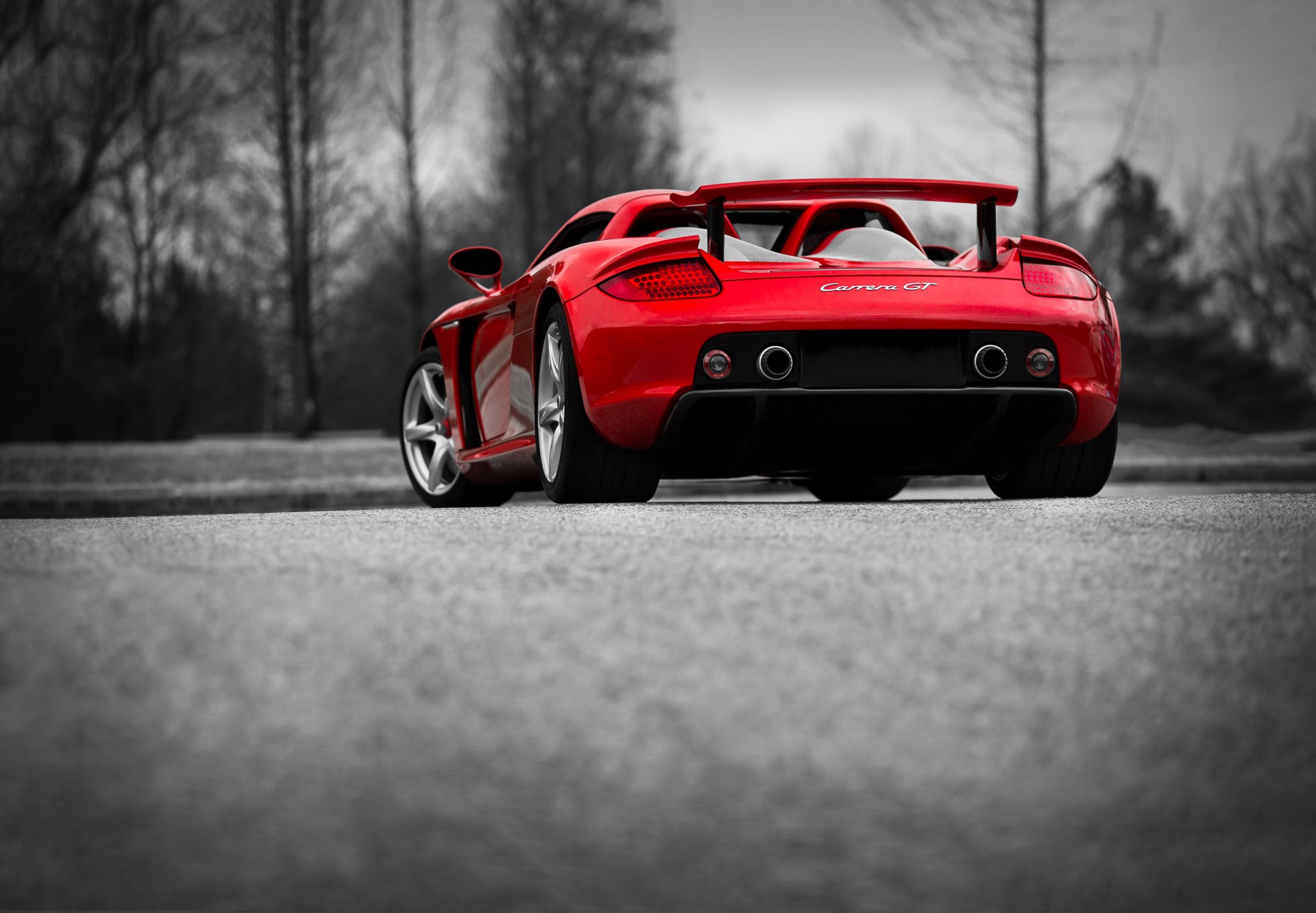 porsche carrera gt red rear