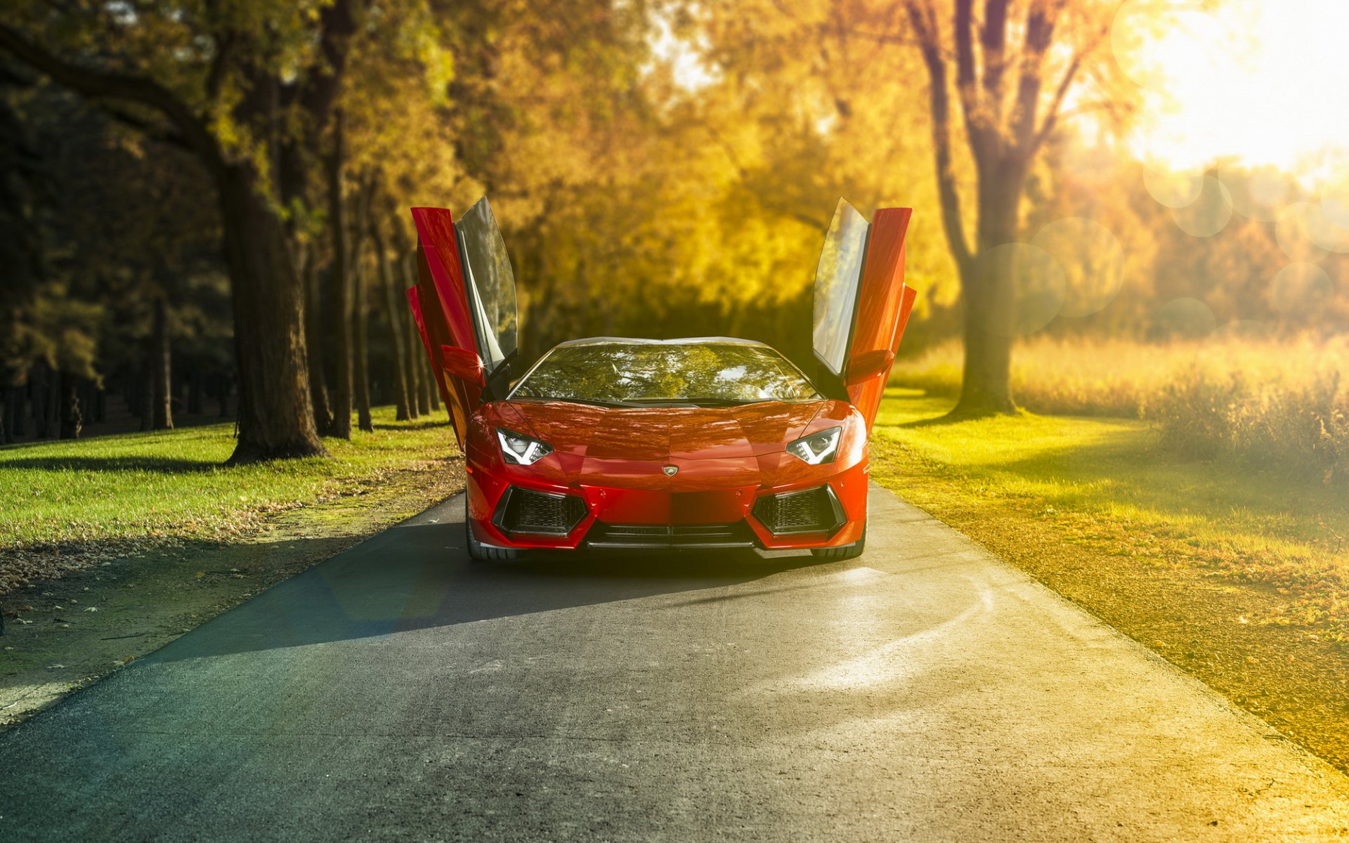 lamborghini aventador lp-700-4 roadster supercar lamborghini auto lambo