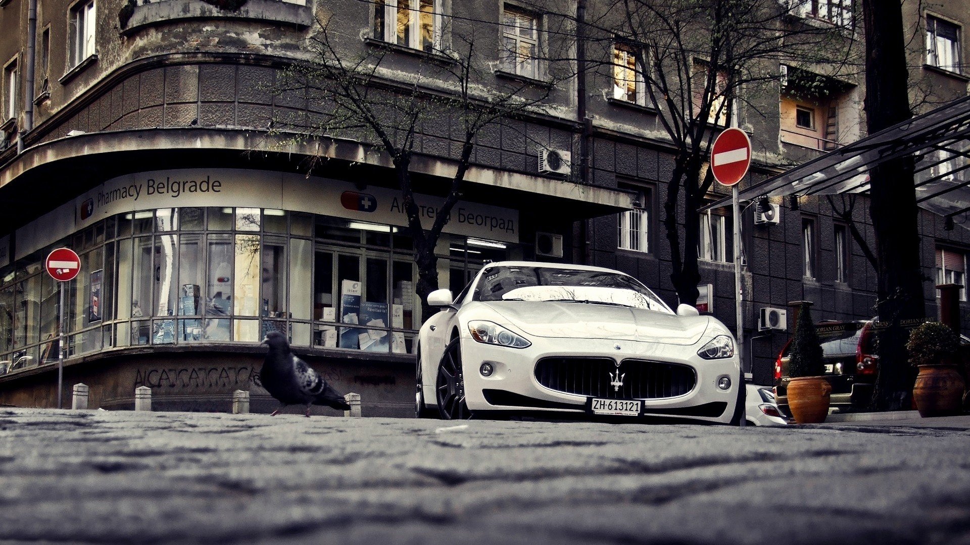 maserati granturismo blanc maserati blanc sport