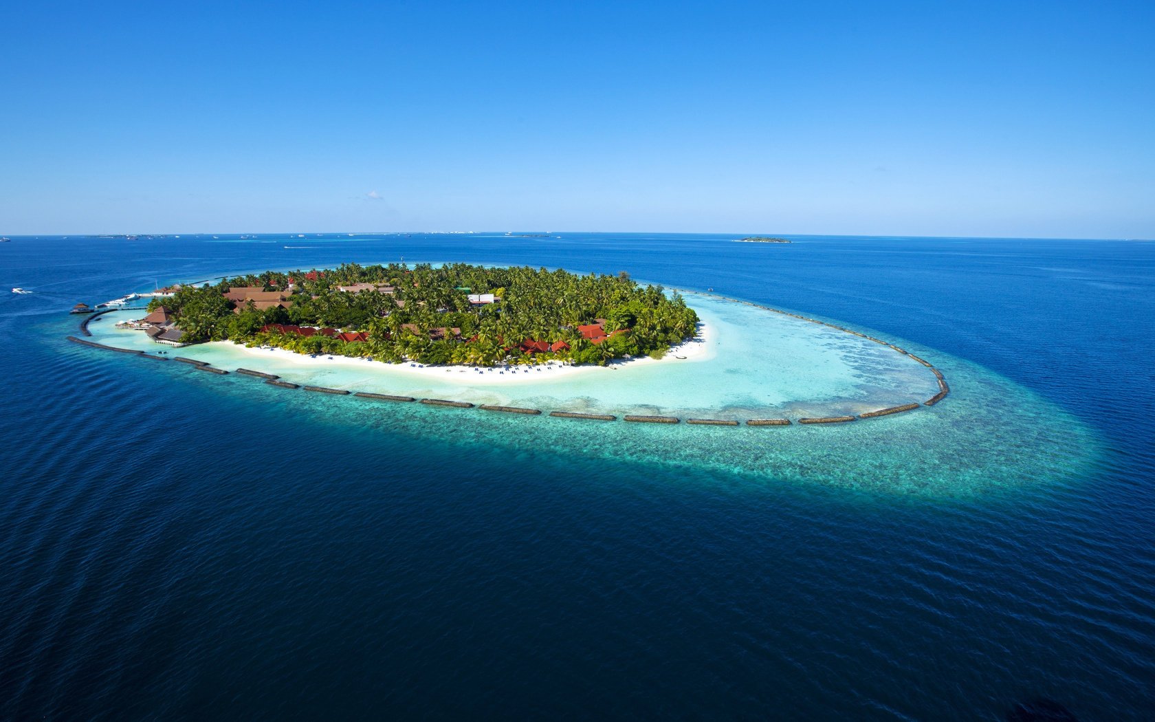 island the ocean trees summer stay beach the sky