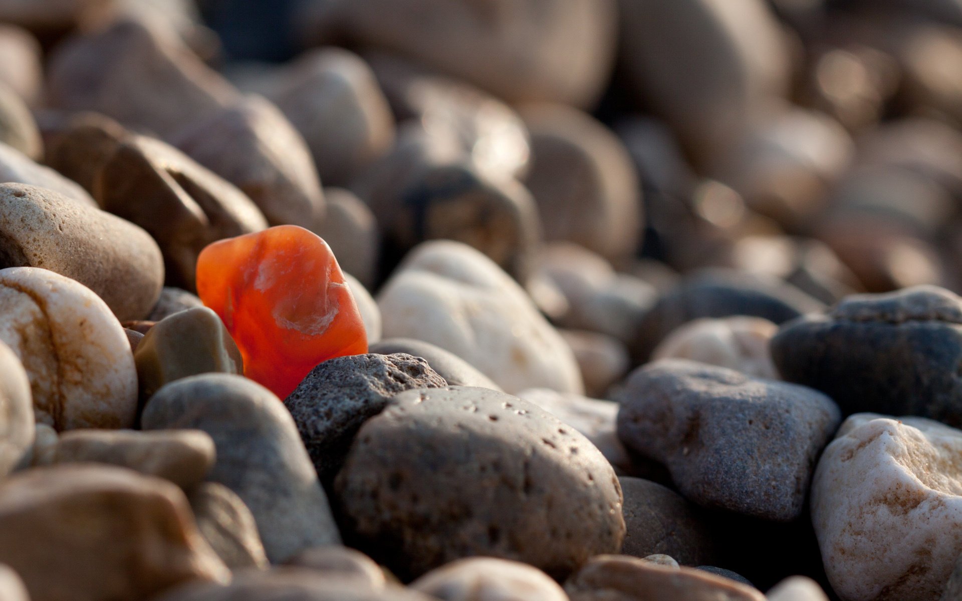 sé especial sé especial piedras guijarros guijarros