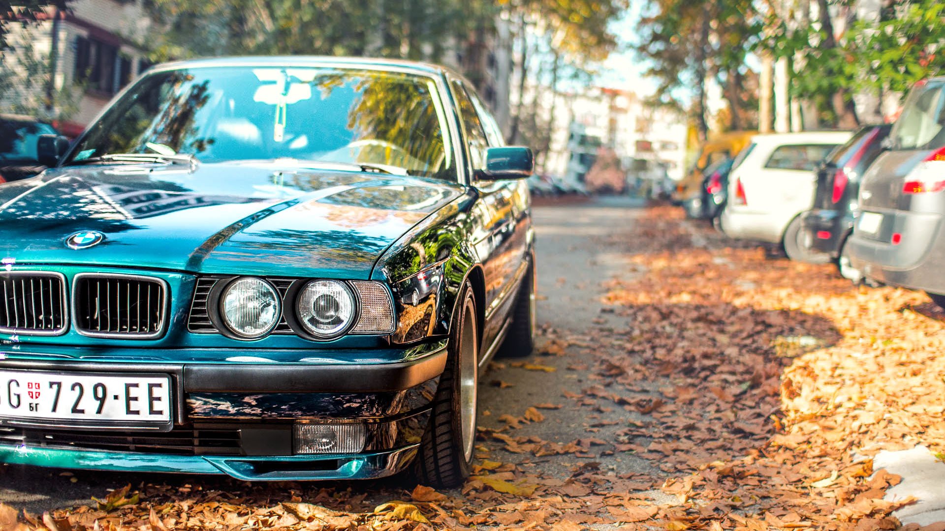 bmw e34 tuning automne feuilles