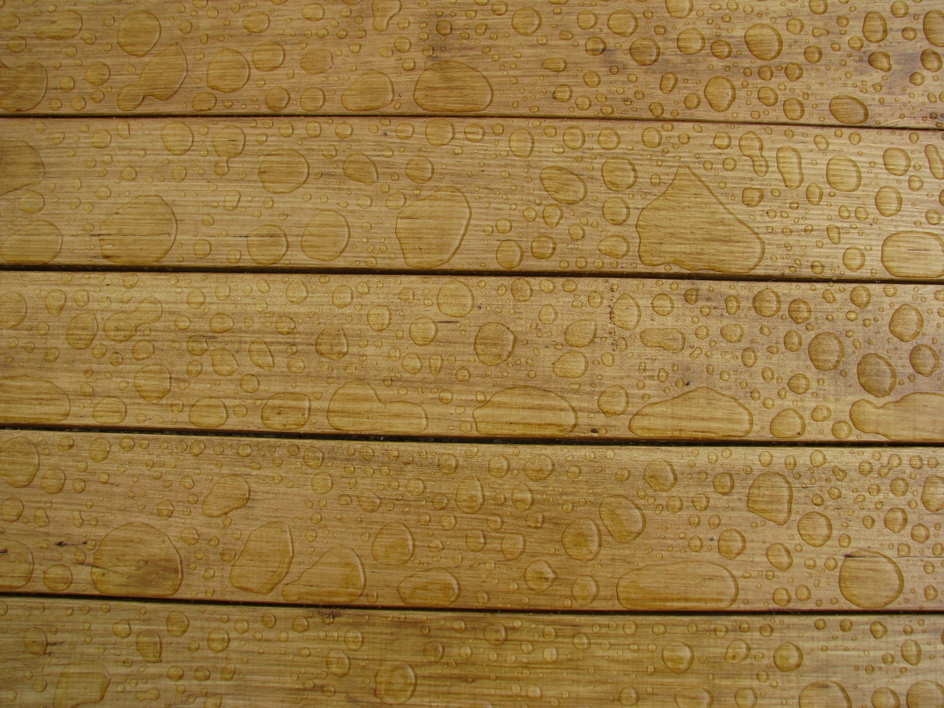 textura madera gotas