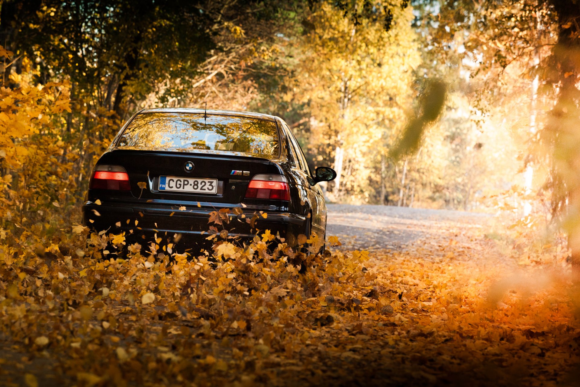 bmw e39 m5 negro bmw faros hojas otoño