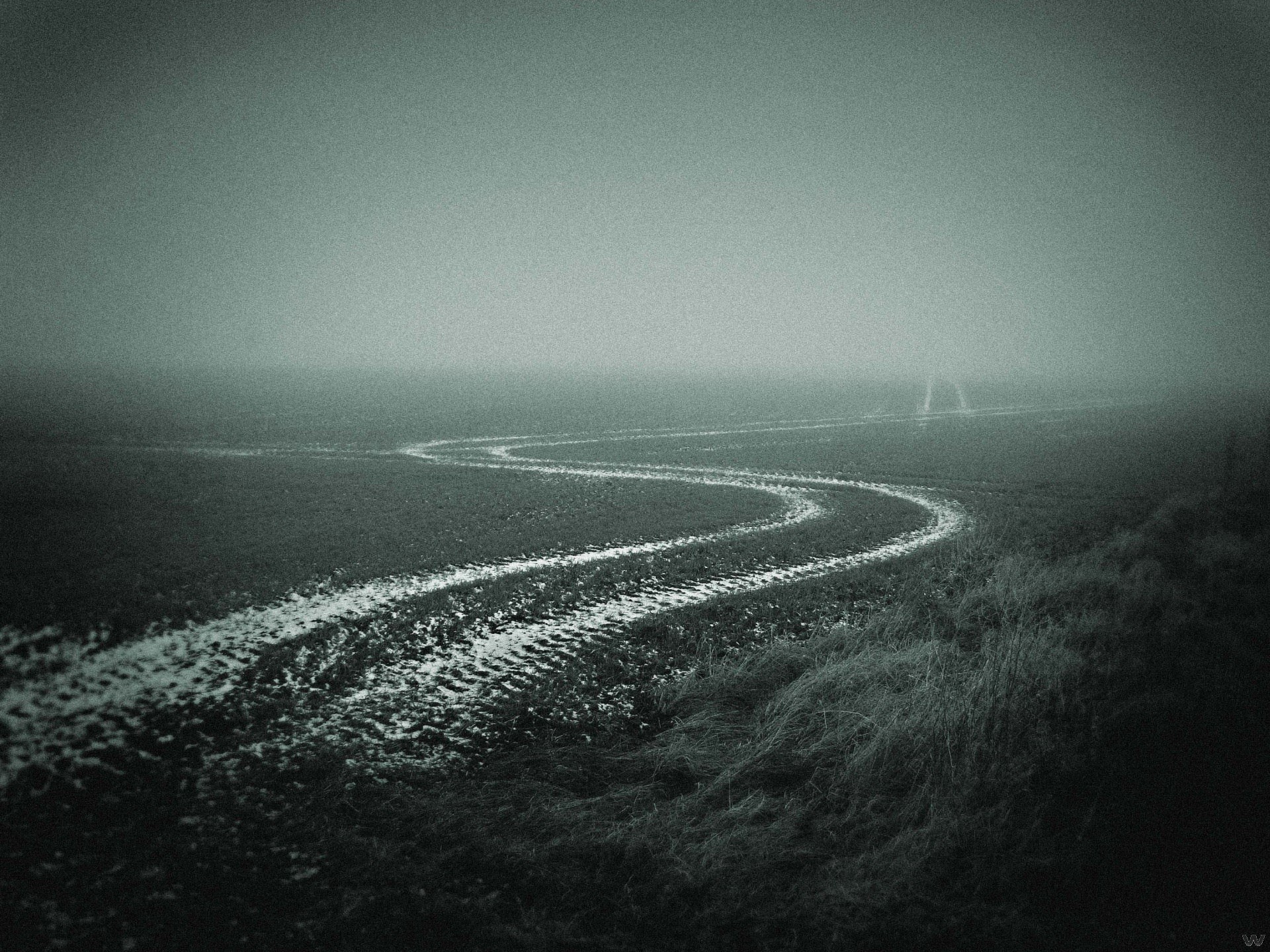 straße nebel feld herbst