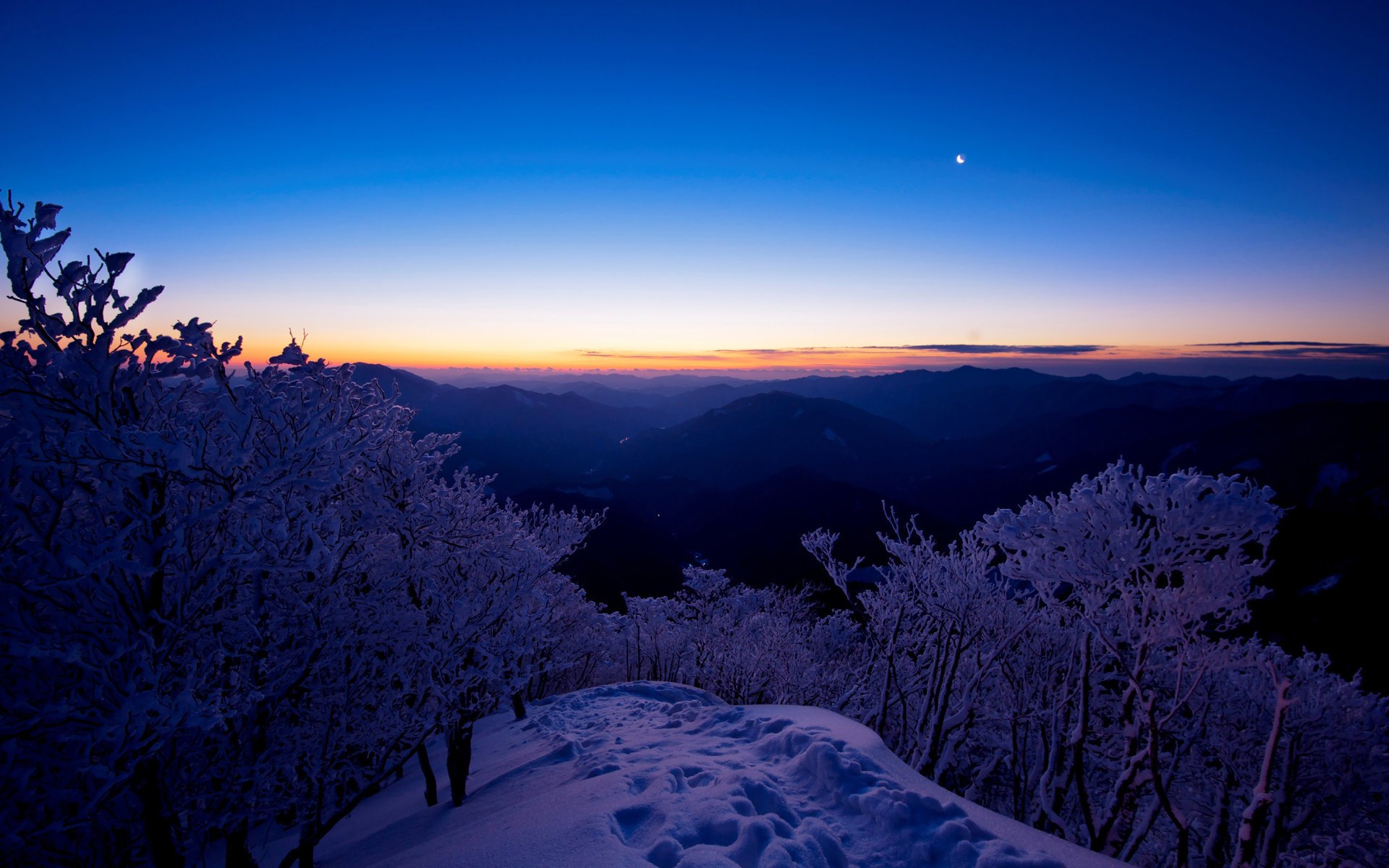 winter snow the evening the sky light