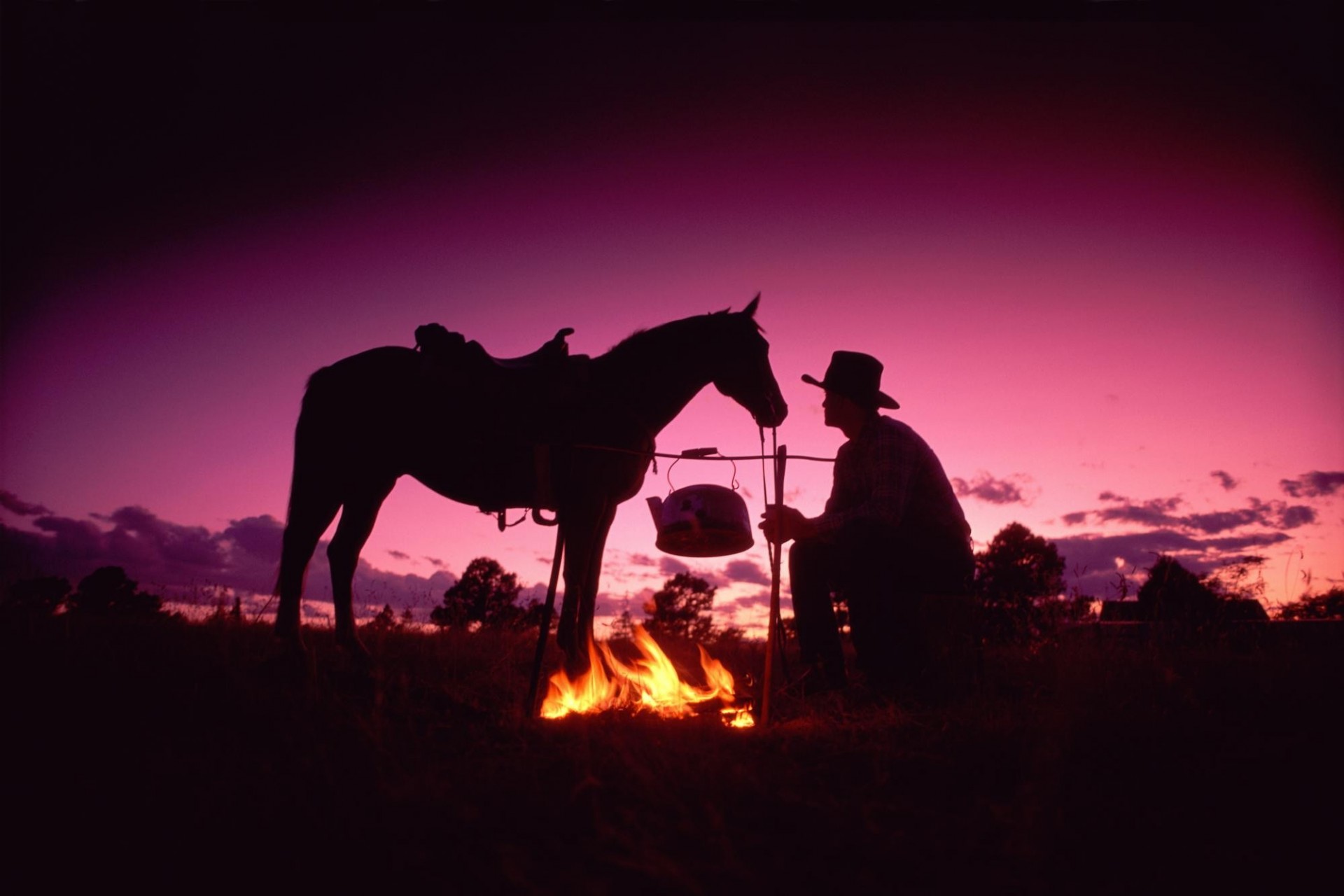 noche fogata vaquero