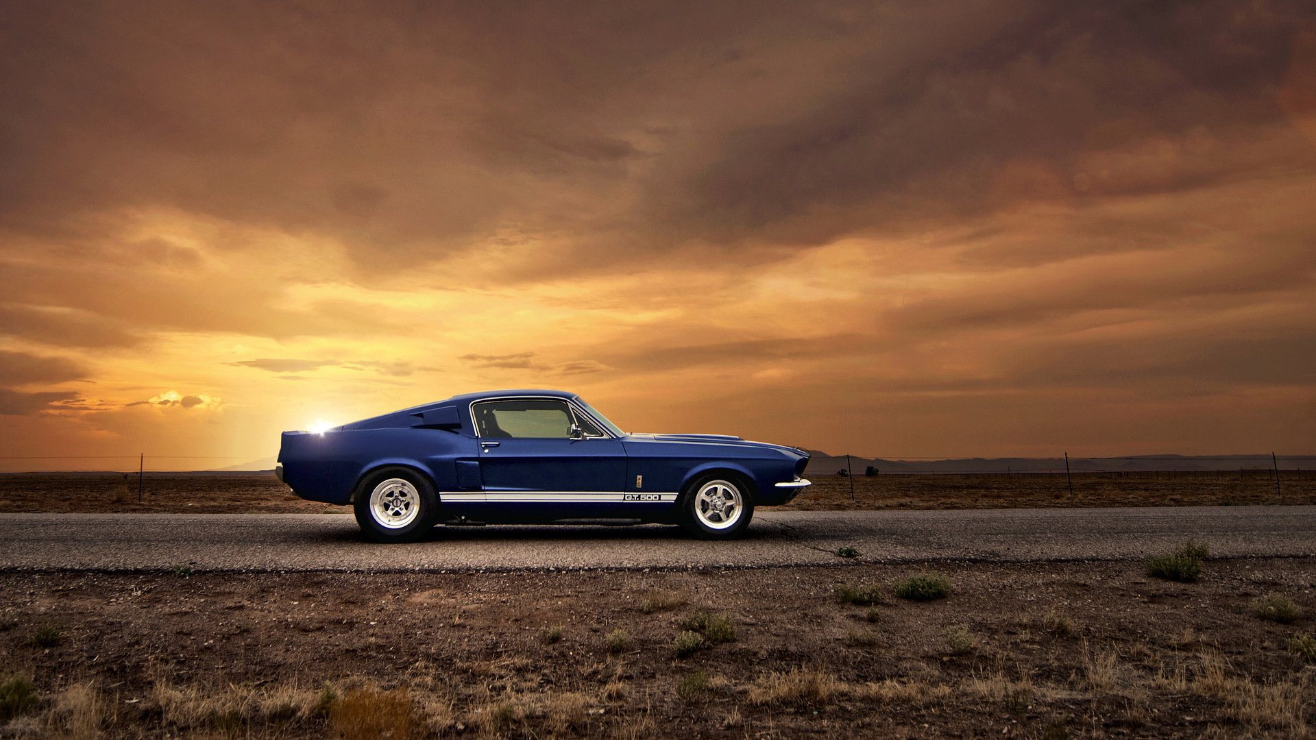 ford mustang gt500 voiture de muscle ford voiture auto coucher de soleil