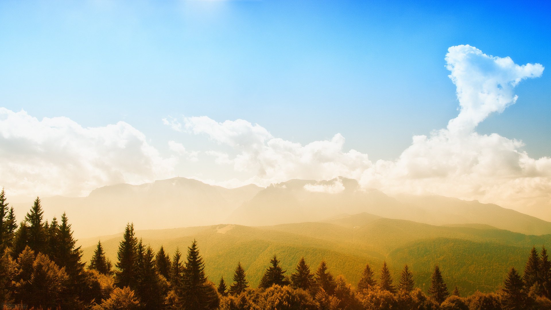 foresta montagne natura cielo verde sole luce