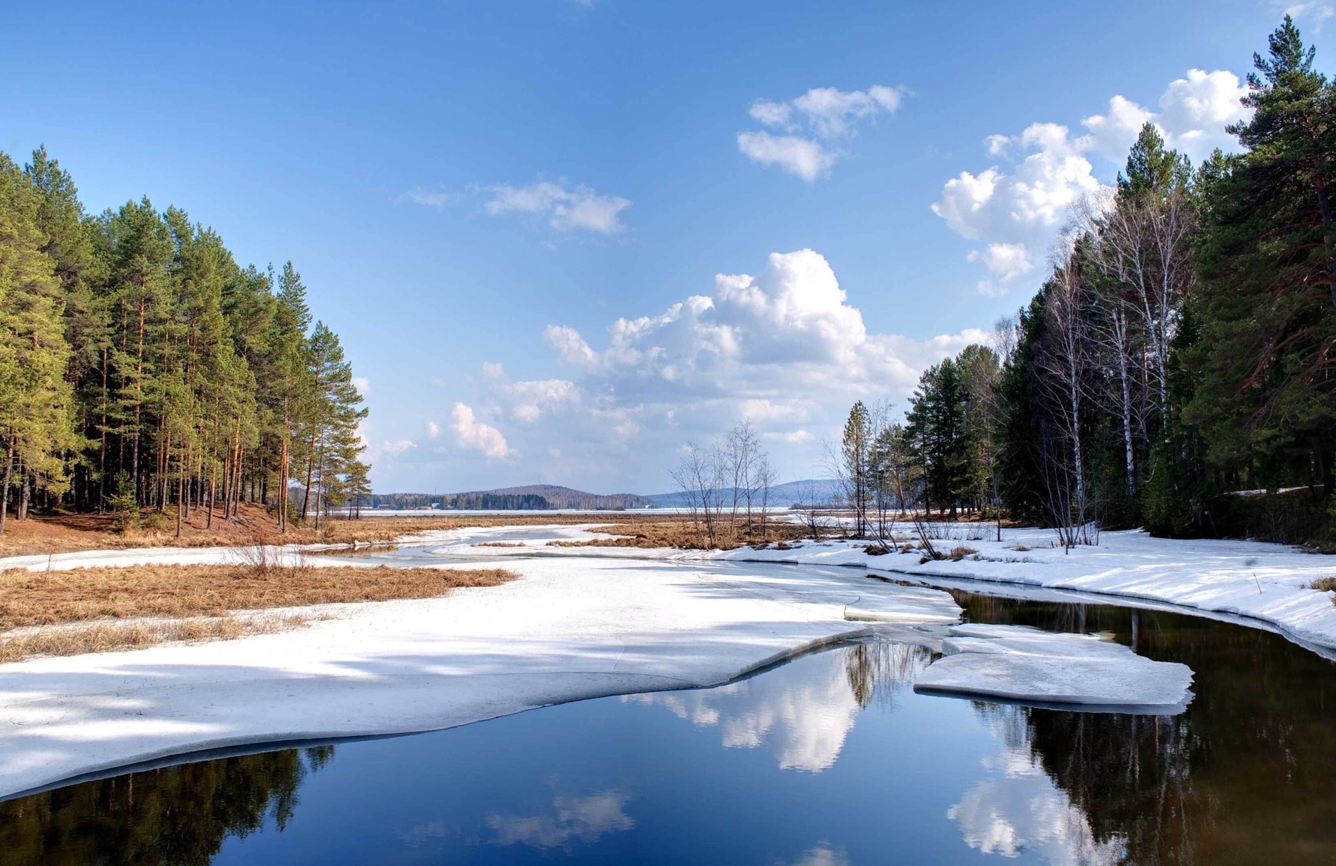 природа снег вода лес елки озеро пейзаж зима пруд