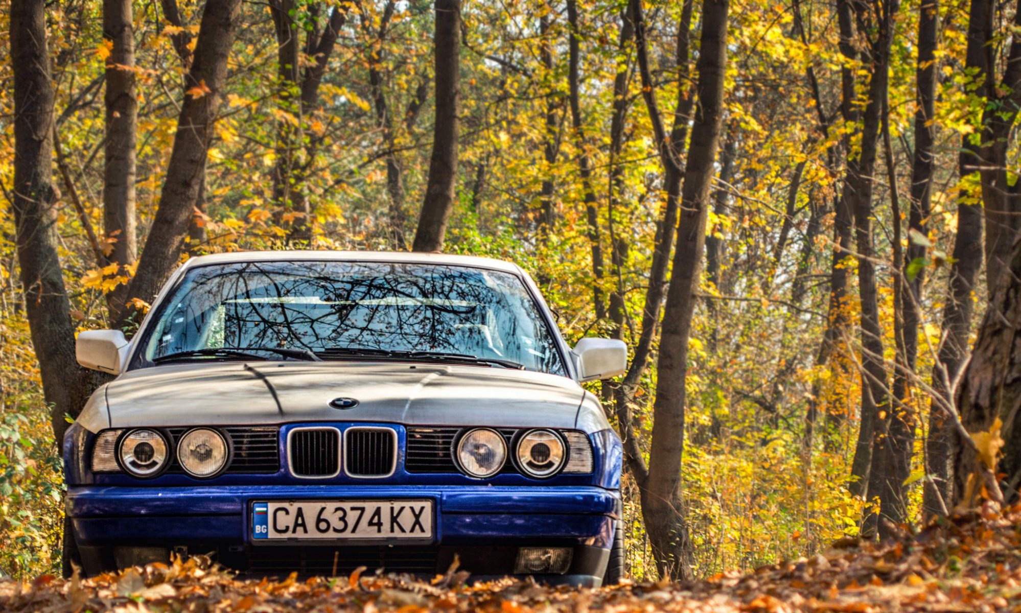 bmw e34 bmw classic tuning leaves autumn headlight