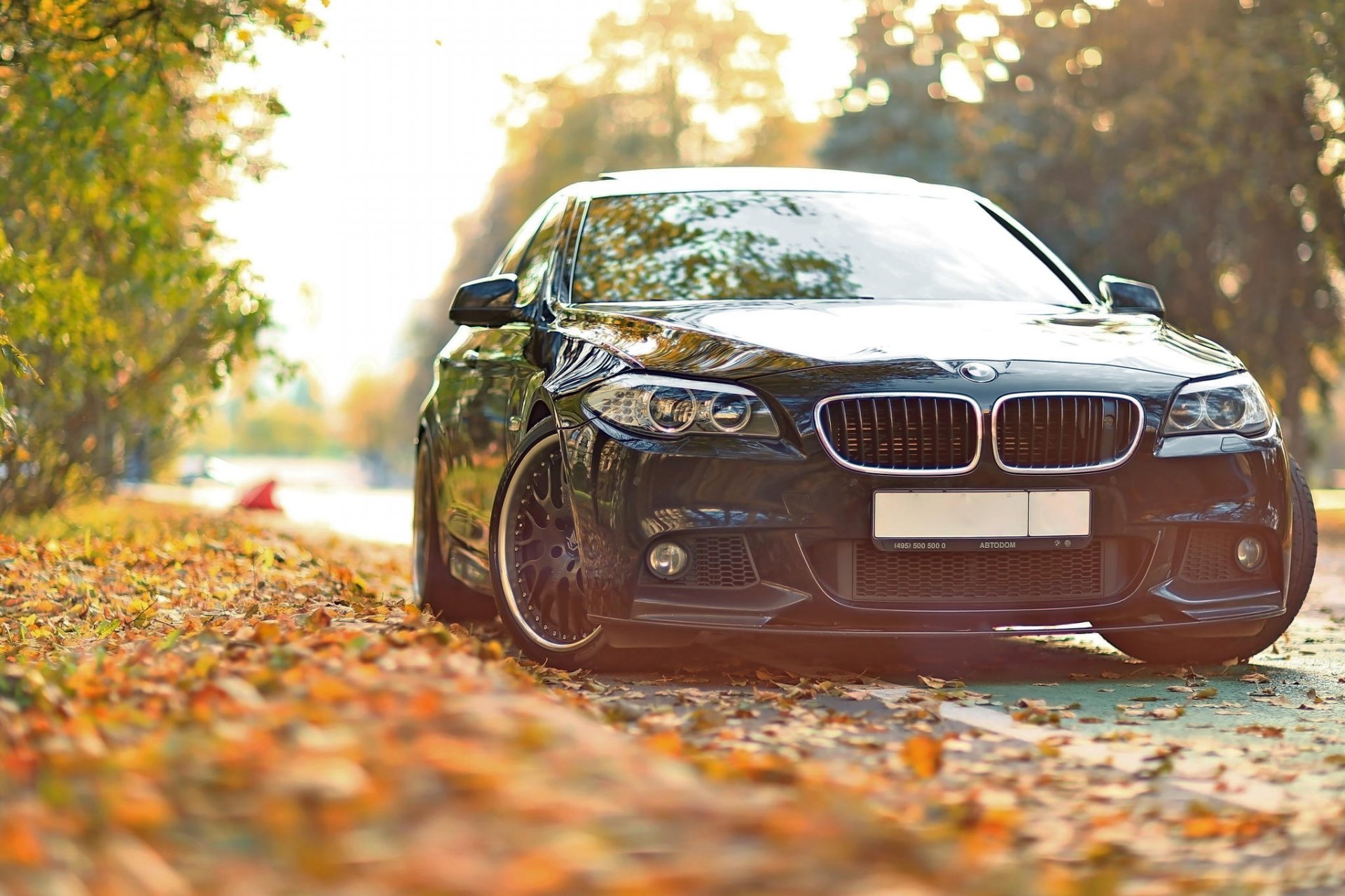 bmw antrieb f10 bmw herbst blätter tuning