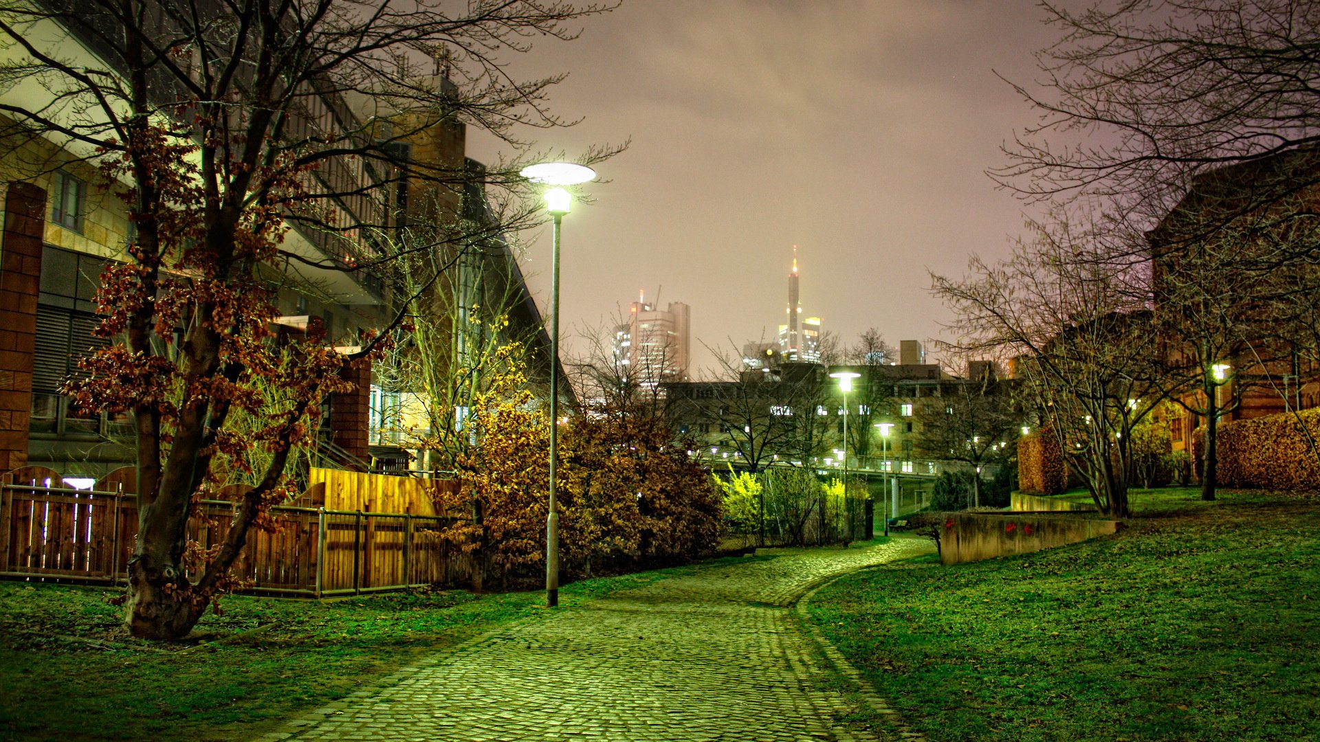 nature rue de nuit paysage passerelle arbres