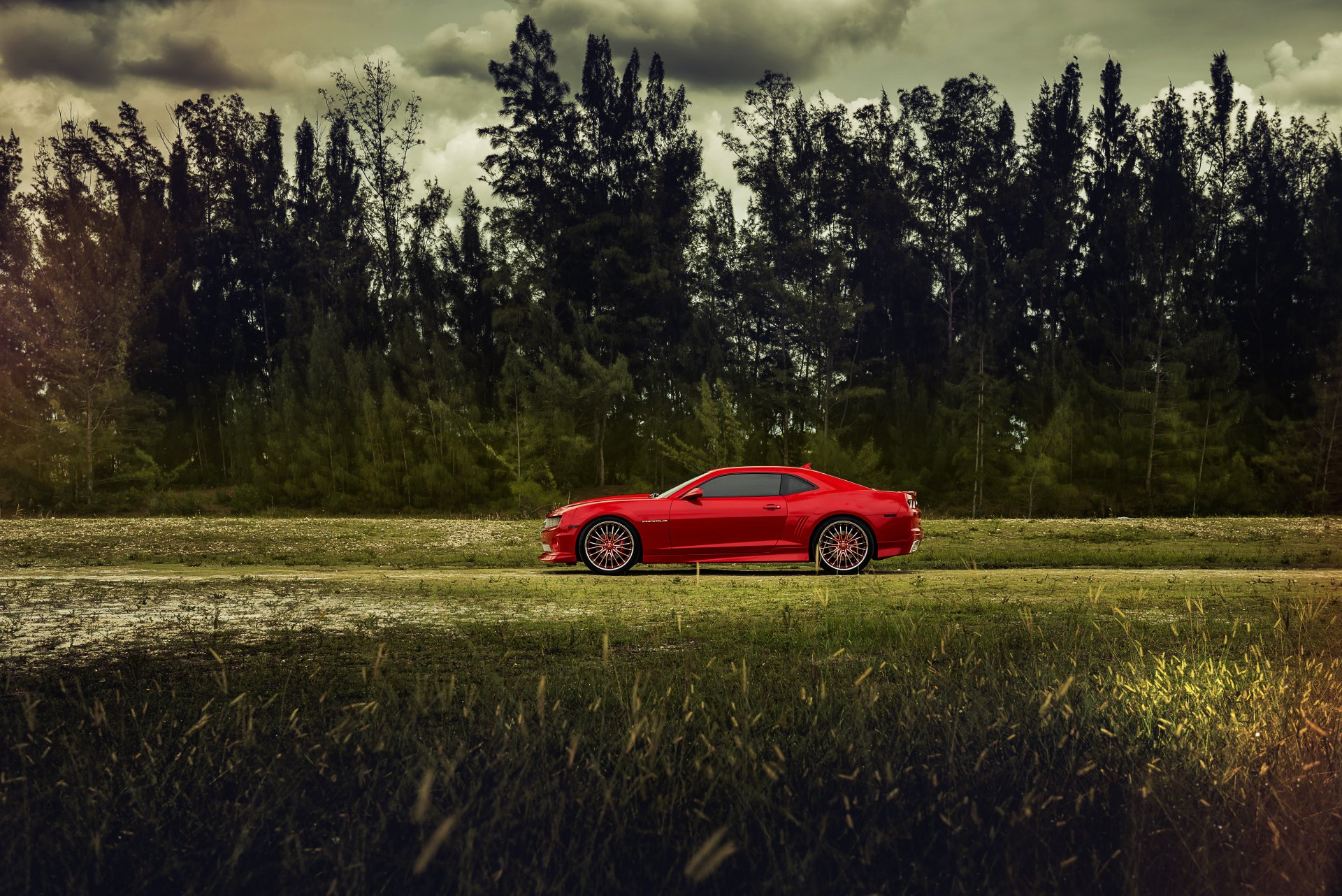 chevrolet camaro auto auto alberi foresta campo erba cielo