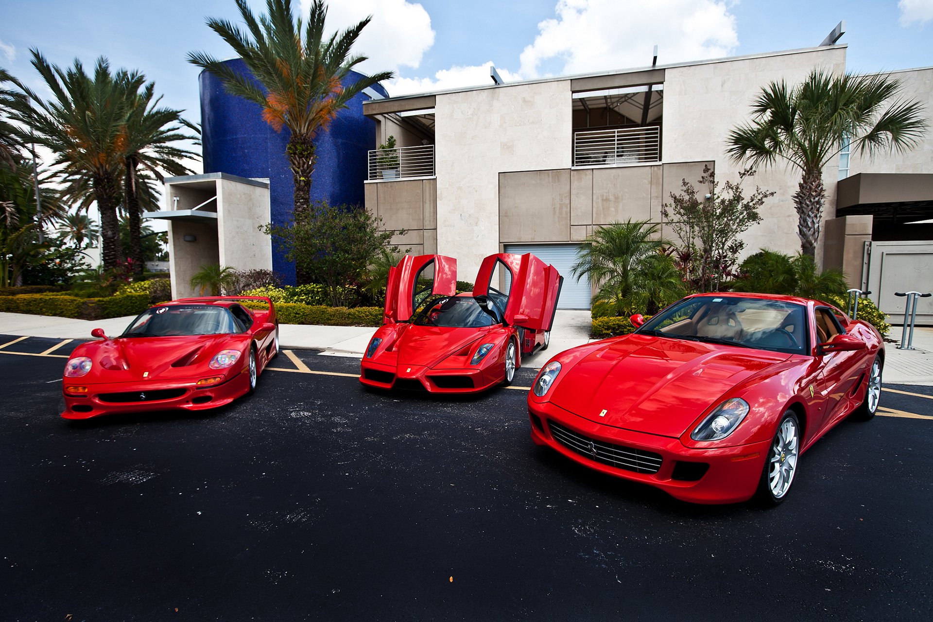 ferrari f50 enzo rojo edificio palma ferrari rojo palmas