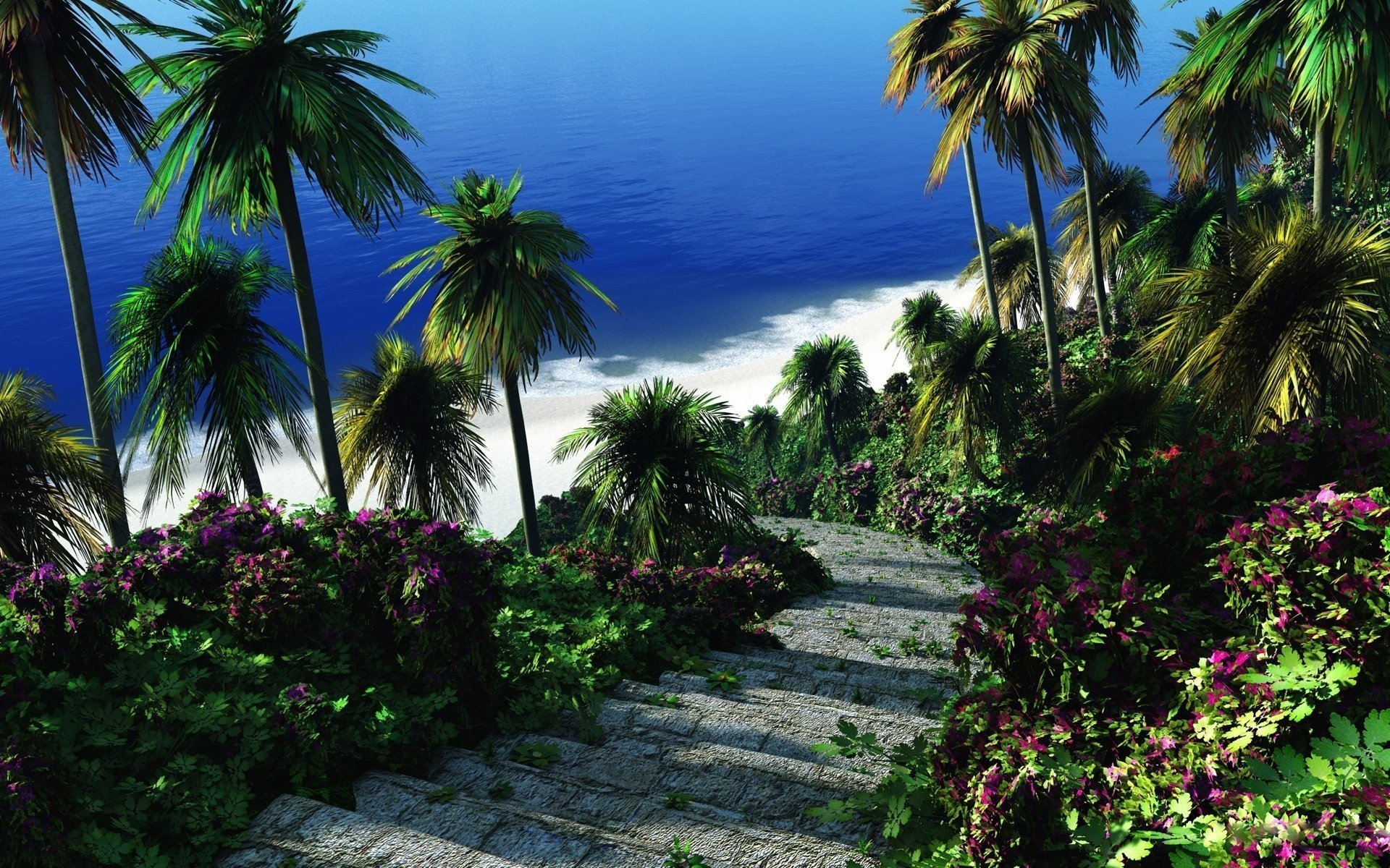 tropics steps ladder greens sea palm tree