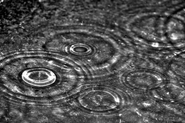 Prise de vue macro de gouttes de pluie