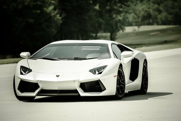 Blanc Lamborghini Aventador promenades sur la route