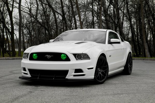 En una calle de otoño con árboles desnudos, un Ford Mustang blanco