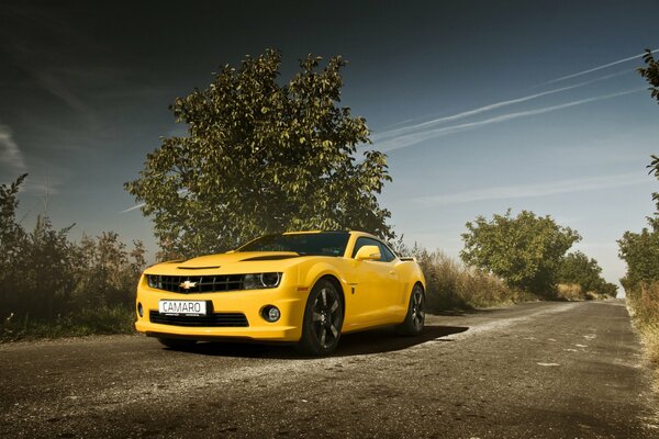 Un chevrolet camaro amarillo circula por una carretera abandonada