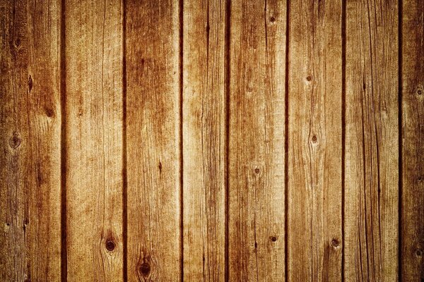 Wood texture background macro