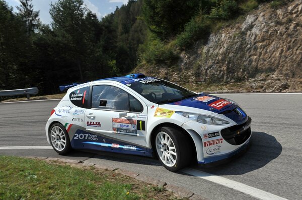 Rally Peugeot with Red Bull label