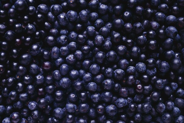 Große Blaubeeren für den gesamten Hintergrund