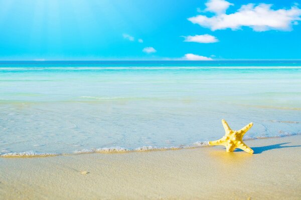 Horizon de mer turquoise et plage blanche