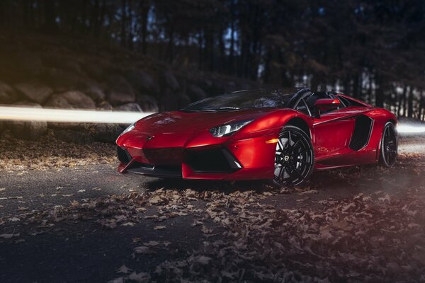 Red Lamborghini on the background of an autumn road