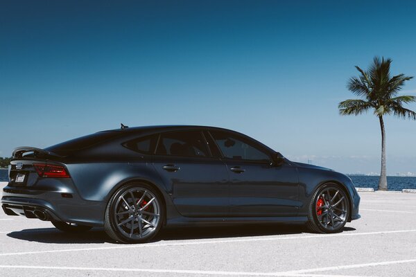 View of a parked Audi rs7 at the back of a palm tree