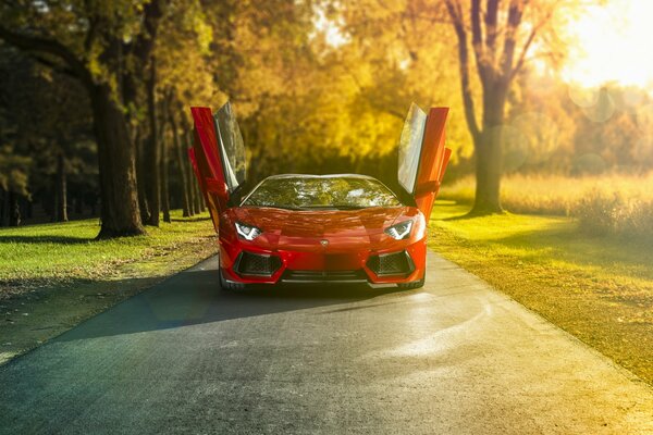 Supercar lamborghini aventador lp-700 - 4 auto