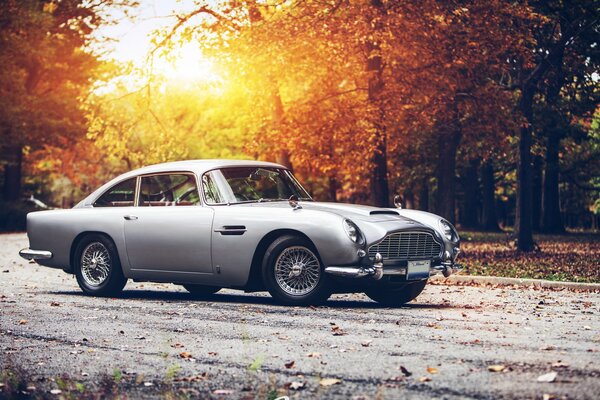 Aston Martin gris dans la forêt d automne