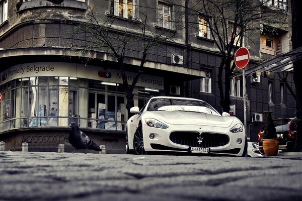 Maserati sportif blanc sur fond de ville