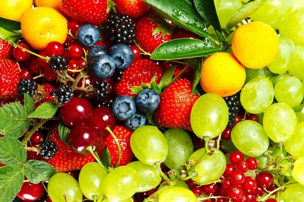 Ciotola di frutta per aumentare la salute