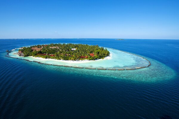 Île verte dans l océan en été