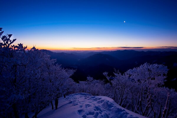 Paysage d hiver, forêt ciel coucher de soleil, neige